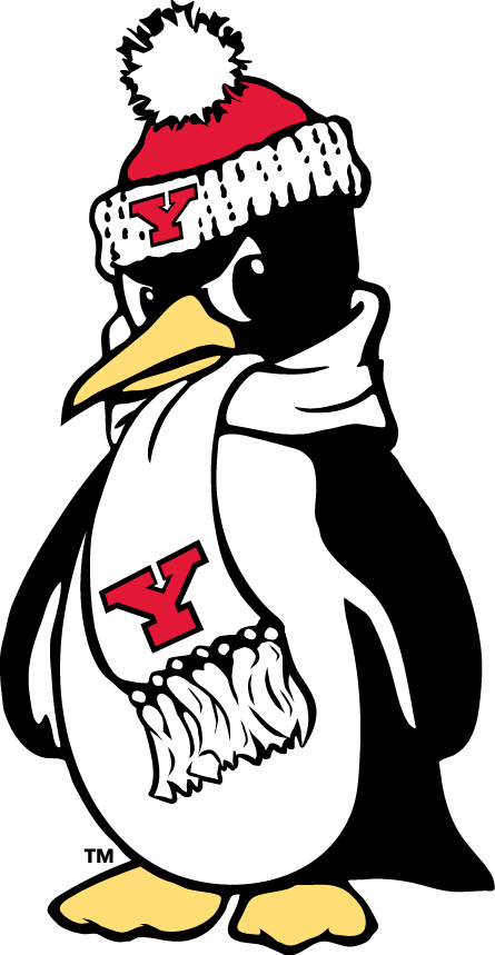 Youngstown State Penguins 1993-Pres Alternate Logo v4 iron on transfers for fabric